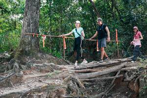 BIB: 
                            <button type="button" onclick="openModal(27805427)" class="btn btn-primary btn-sm float-right btn-popup" data-toggle="modal" data-target=".modal-high-quality">
                        <i class="fas fa-shopping-cart"></i> Add to Cart
                    </button>
                                            <button type="button" onclick="isThisMe(27805427, true)" class="btn btn-success btn-sm float-right btn-popup btn-isme hidden" data-toggle="tooltip" data-placement="bottom" title="นี่คือรูปของคุณใช่ไหม คลิกที่นี่เพื่อเอาเข้าอัลบั้ม">
                        <i class="fas fa-plus"></i> Add to album
                    </button>
                    <button type="button" onclick="isThisMe(27805427, false)" class="btn btn-warning btn-sm float-right btn-popup btn-isnotme hidden">
                        <i class="fas fa-ban"></i> Remove from album
                    </button>